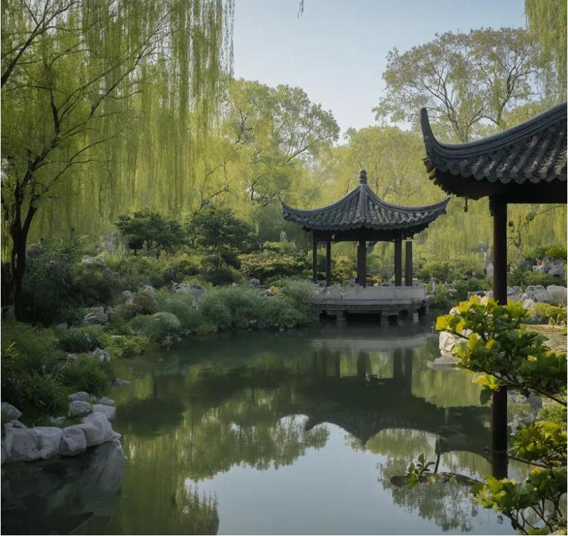 湘潭雨湖飞风舞蹈有限公司